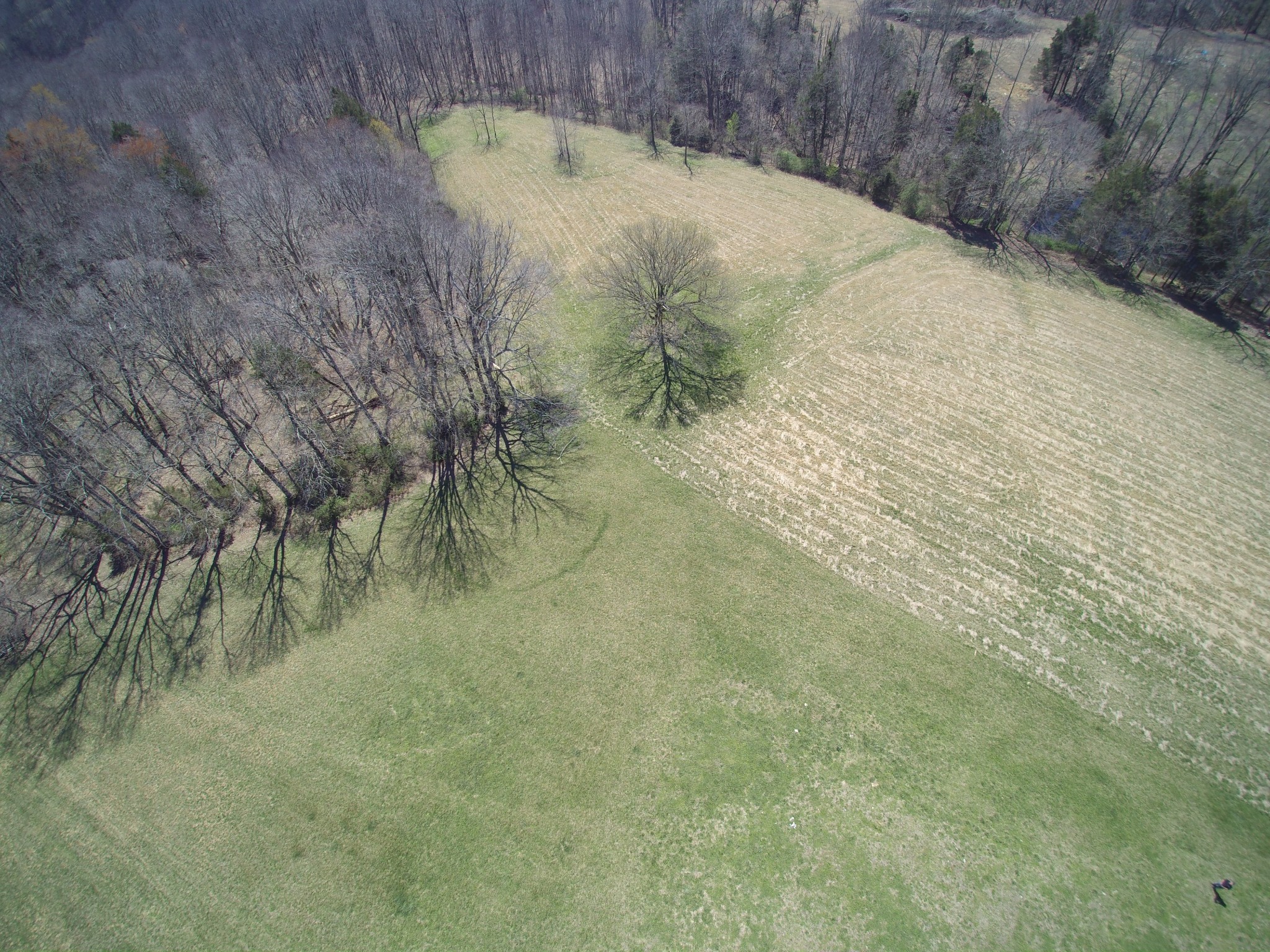 10974 Galen Road Lafayette, TN 37083 - Photo 7 of 14