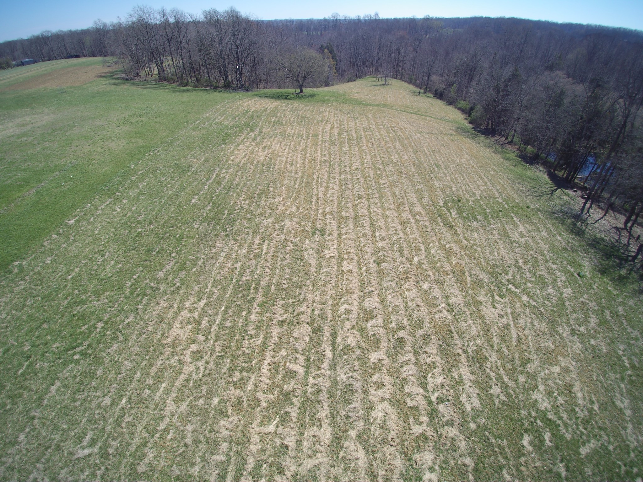 10974 Galen Road Lafayette, TN 37083 - Photo 9 of 14