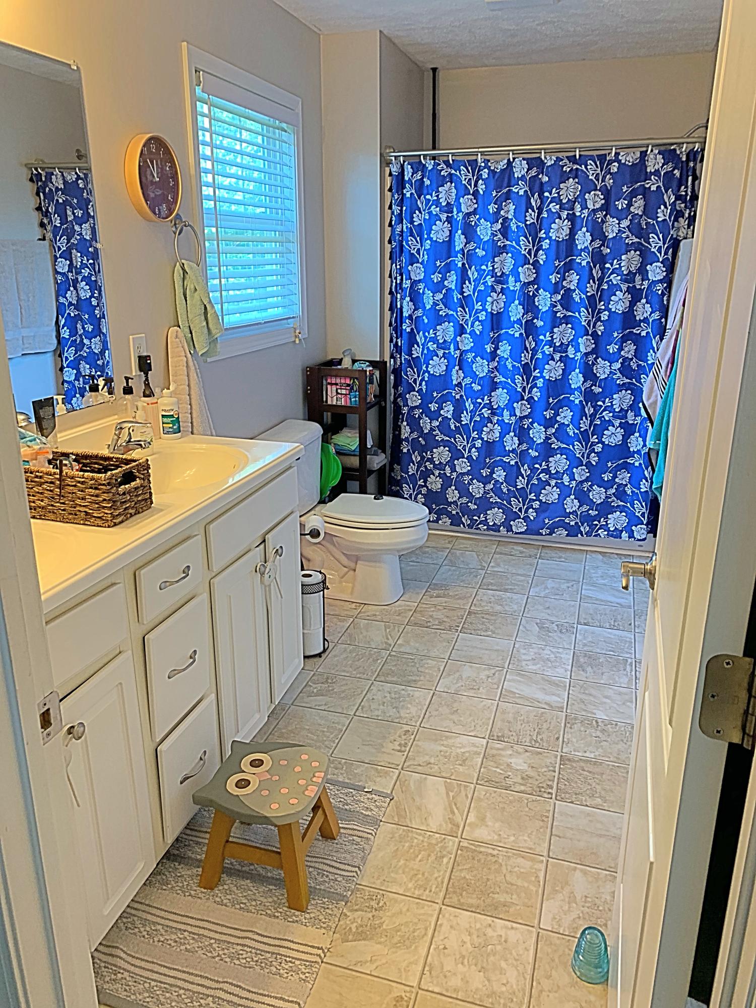 801 Ledbetter Road Rocky Mount, VA 24151 - Photo 17 of 17 Master Bath