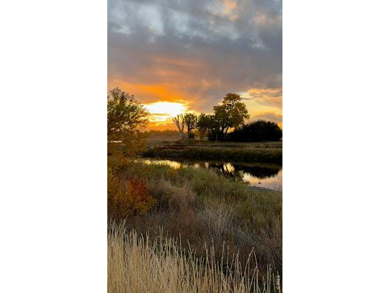 8451 Madison Way Denver, CO 80229 - Photo 27 of 27 Pelican Pond picture taken by Charlie Waychoff