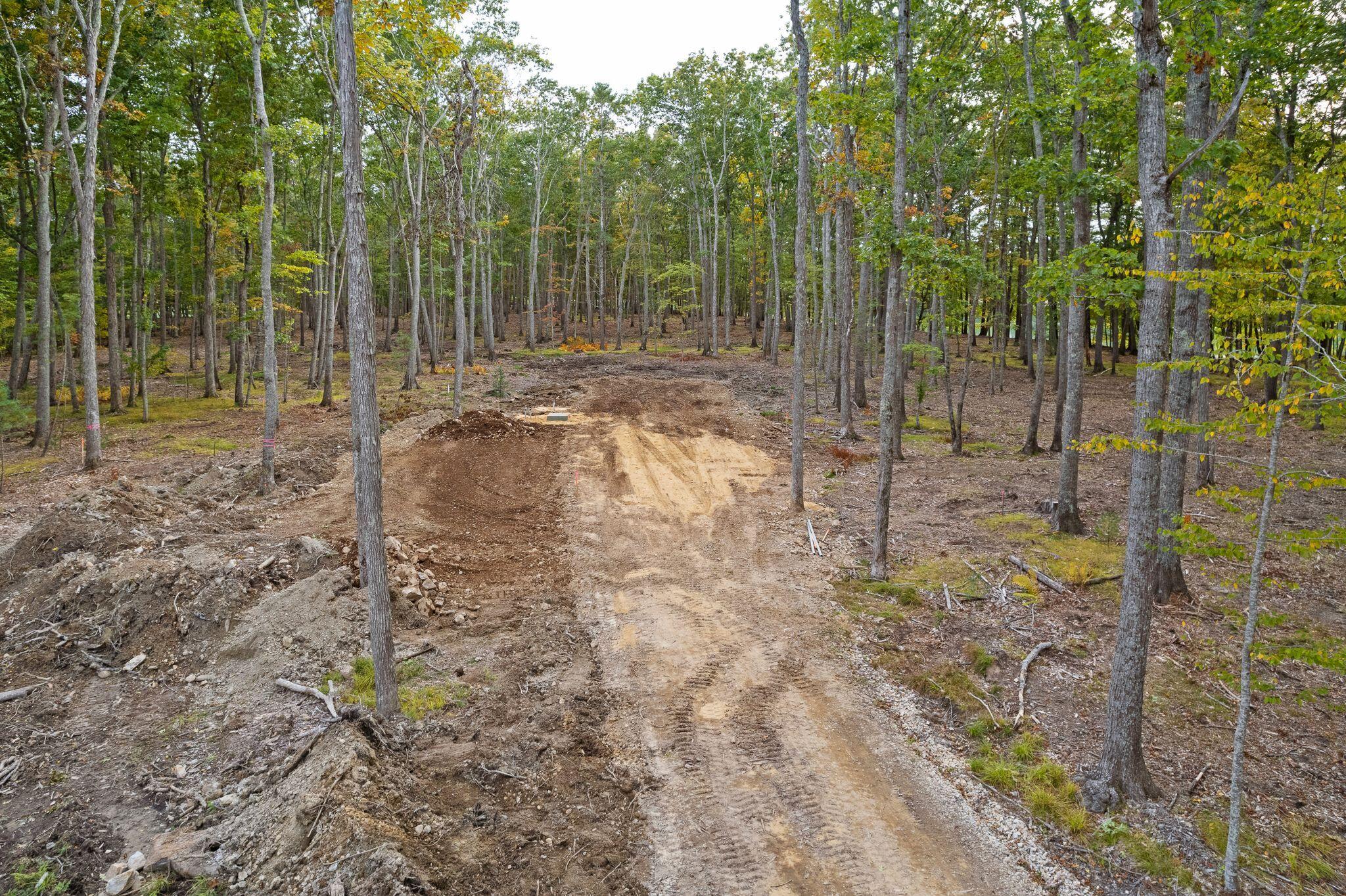 126 Cider Hill Road York, ME 03909 - Photo 18 of 21 126 CHR driveway towards house site