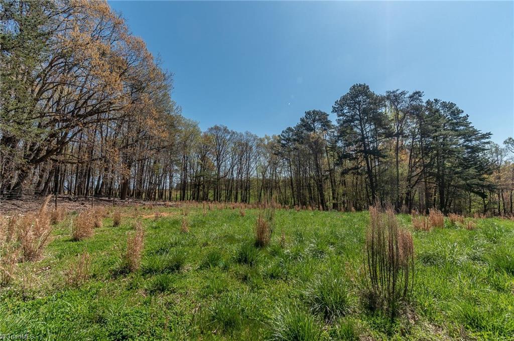 0 Mt Zion Road, Unit TRACT 7 Pinnacle, NC 27043 - Photo 14 of 30