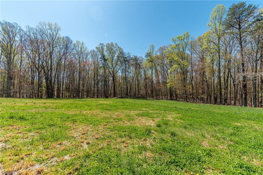 0 Mt Zion Road, Unit TRACT 7 Pinnacle, NC 27043 - Photo 22 of 30