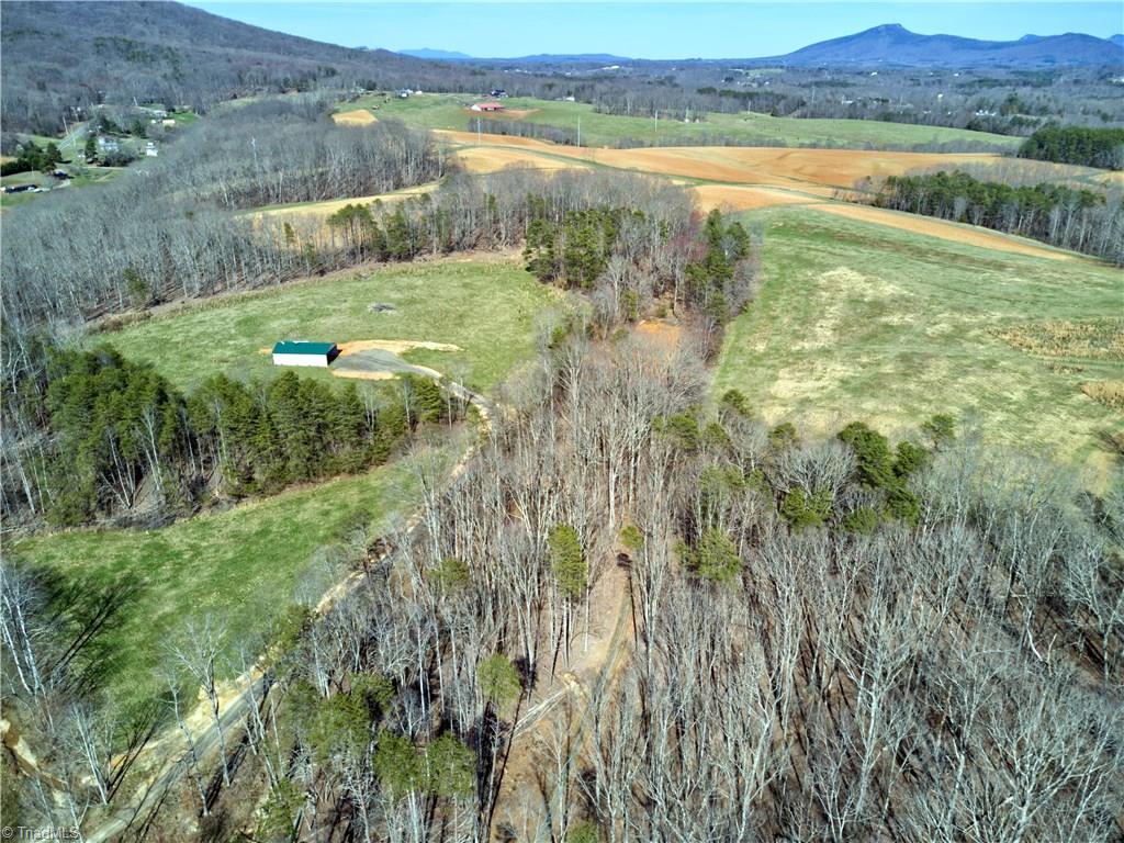 0 Mt Zion Road, Unit TRACT 7 Pinnacle, NC 27043 - Photo 8 of 30