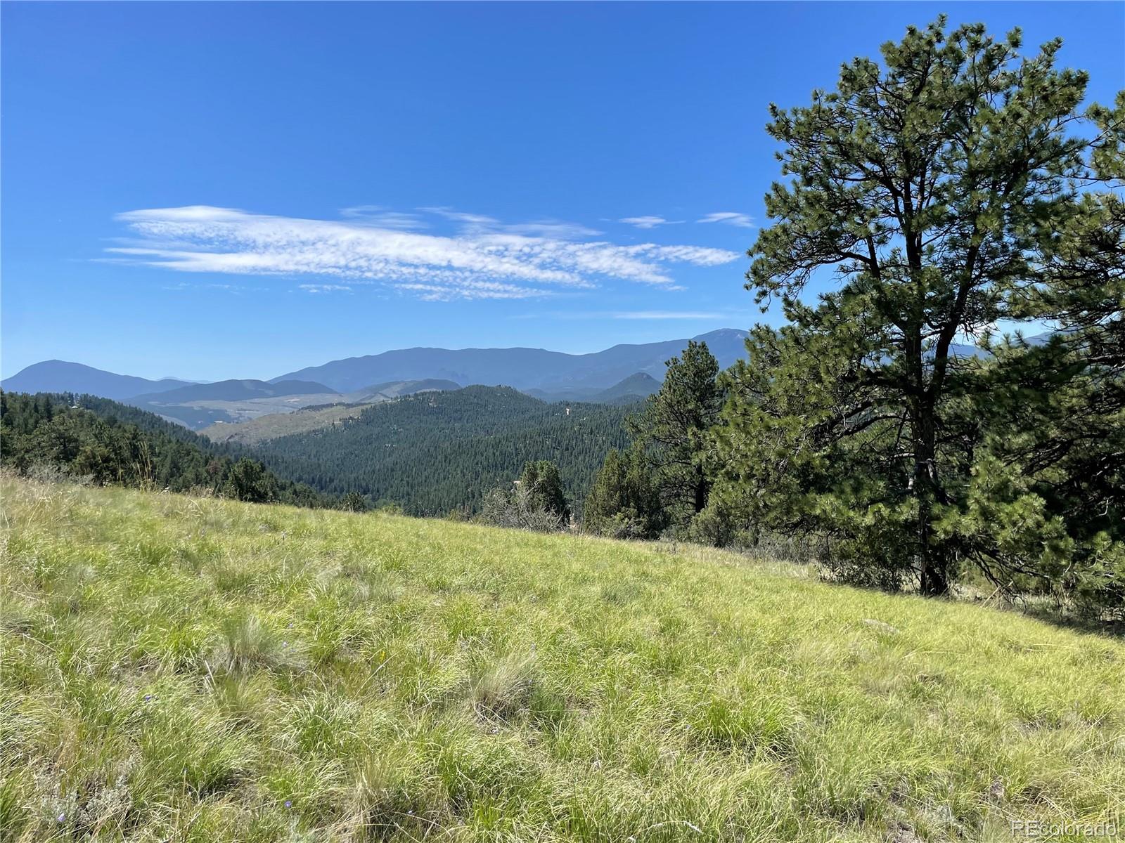 98 Wisp Lane Bailey, CO 80421 - Photo 1 of 25 a view of an outdoor space and a yard