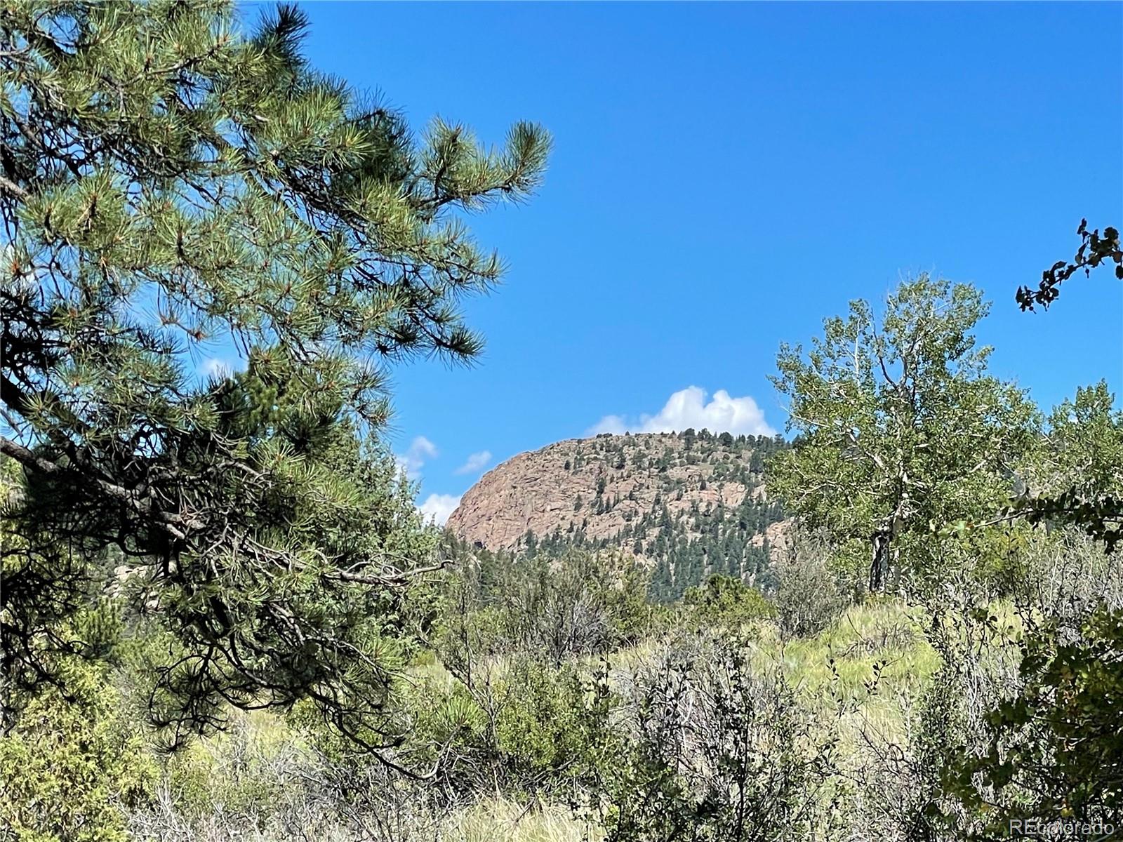 98 Wisp Lane Bailey, CO 80421 - Photo 12 of 25 a view of a garden