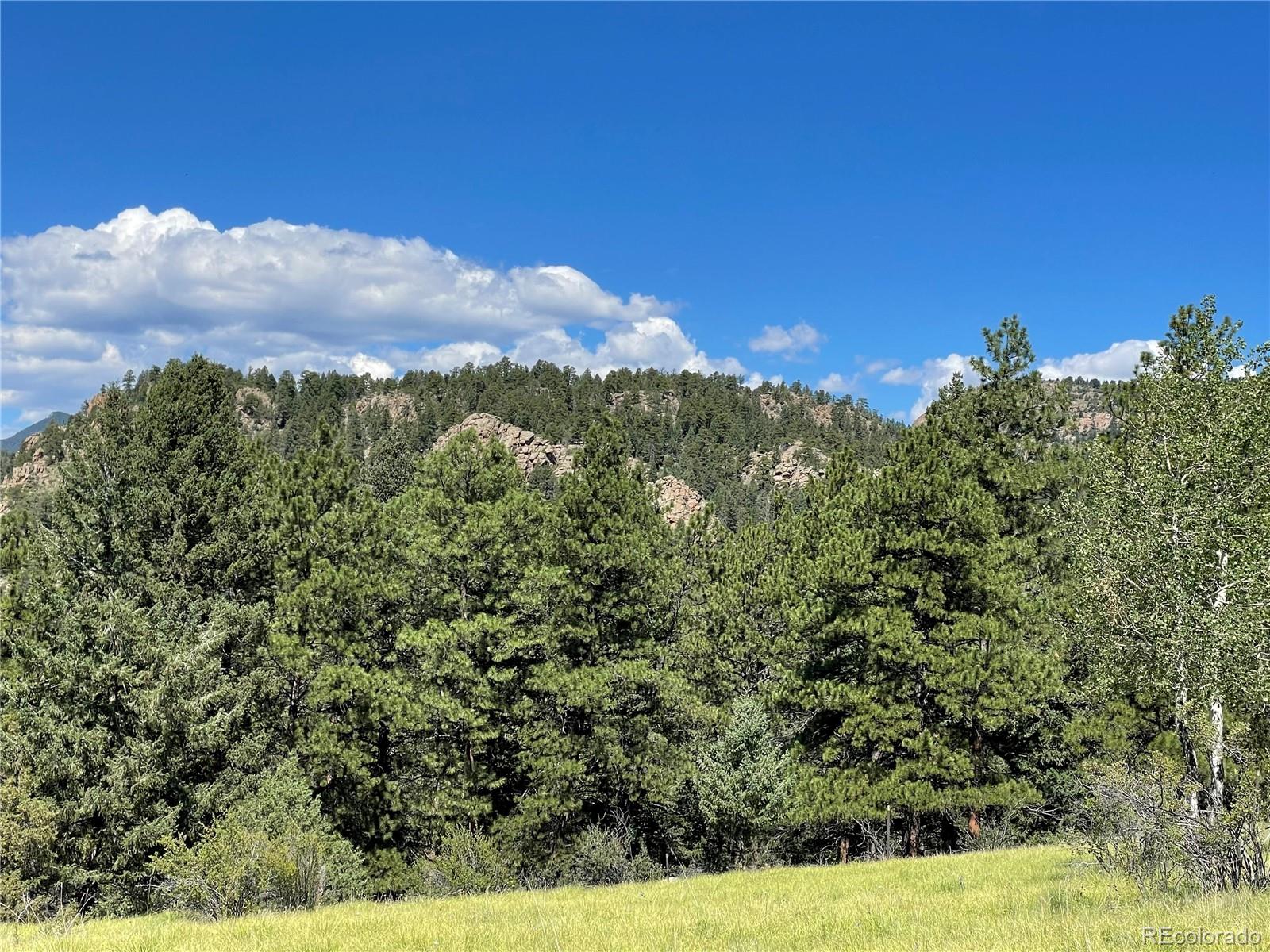 98 Wisp Lane Bailey, CO 80421 - Photo 13 of 25 a view of a city