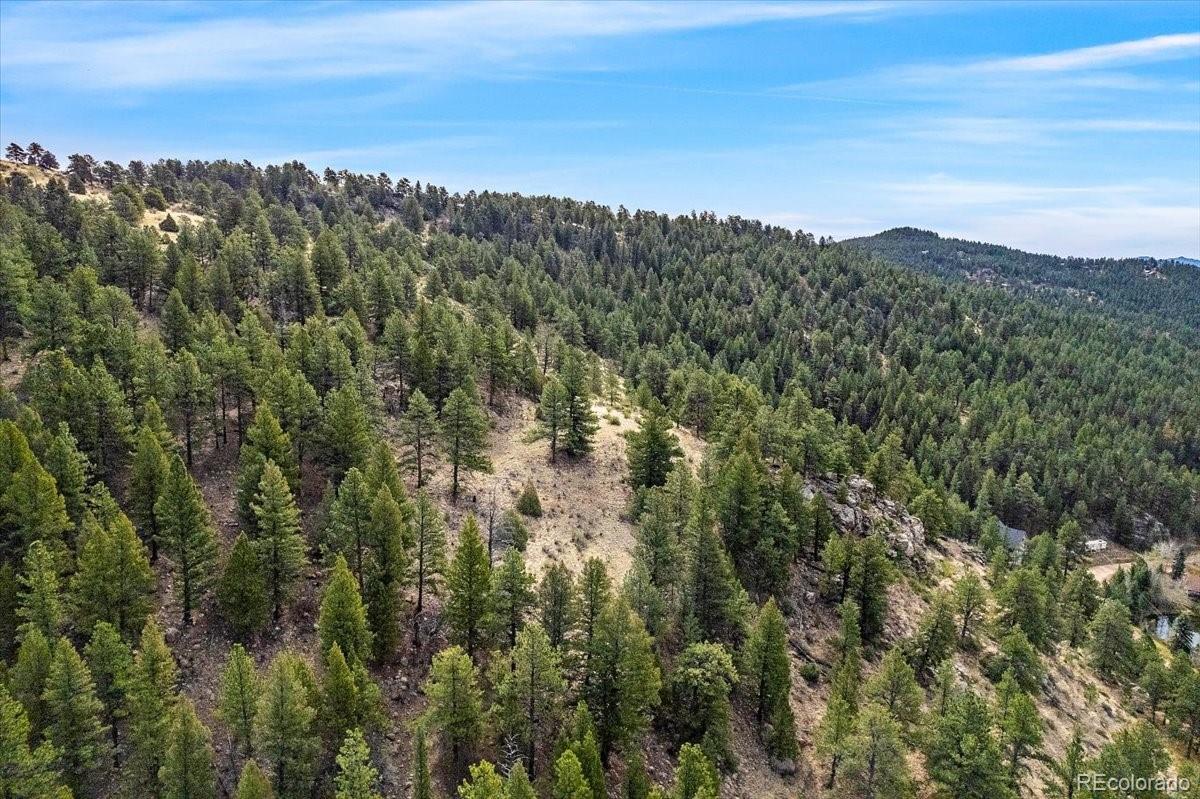 98 Wisp Lane Bailey, CO 80421 - Photo 15 of 25 a view of a city with mountains in the background