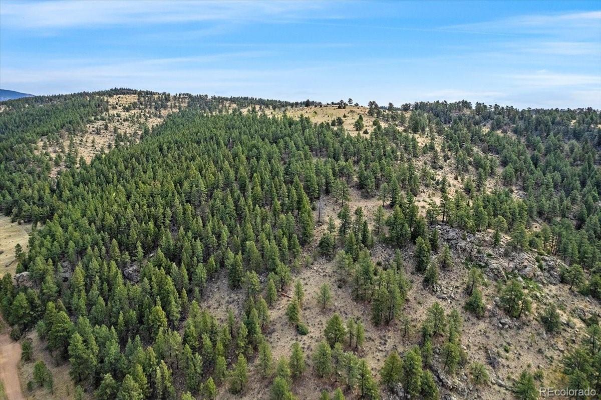 98 Wisp Lane Bailey, CO 80421 - Photo 16 of 25 a view of a city