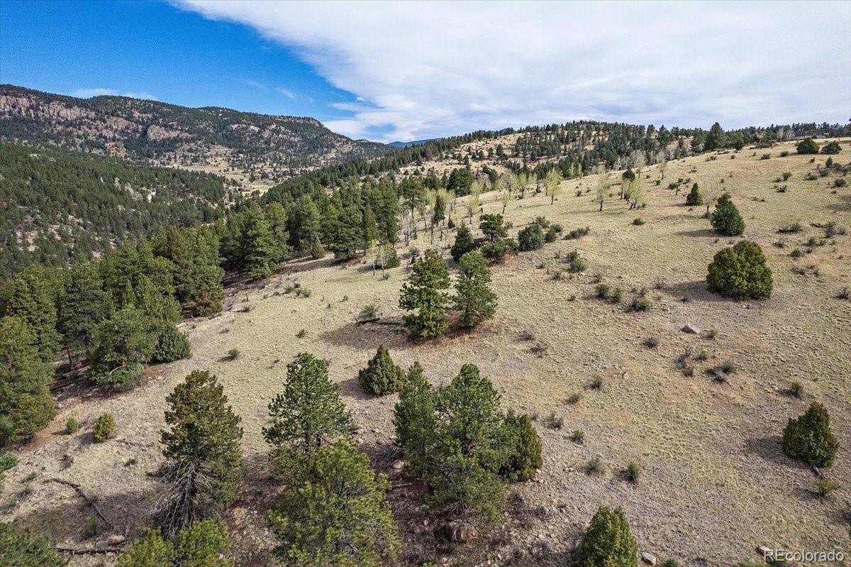 98 Wisp Lane Bailey, CO 80421 - Photo 17 of 25 a view of a sky view