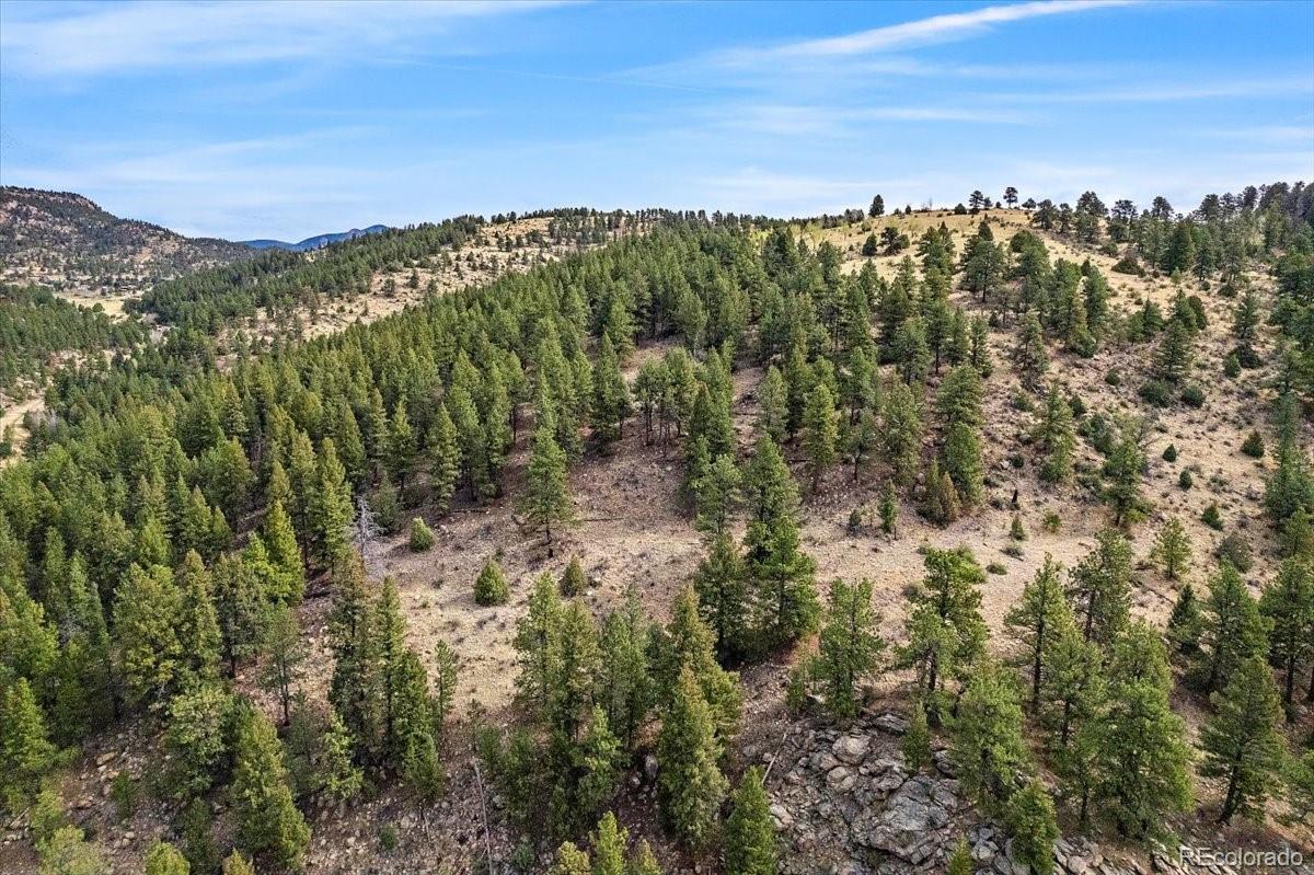 98 Wisp Lane Bailey, CO 80421 - Photo 18 of 25 a view of a lush green forest with mountains in the background