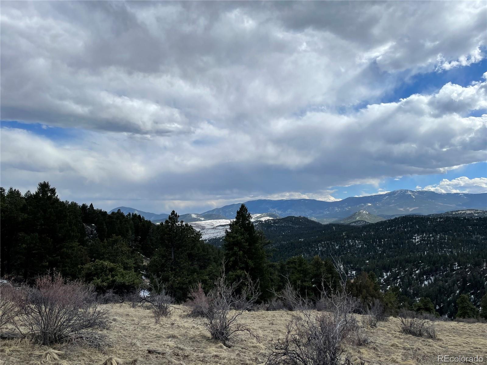 98 Wisp Lane Bailey, CO 80421 - Photo 19 of 25 a view of a forest