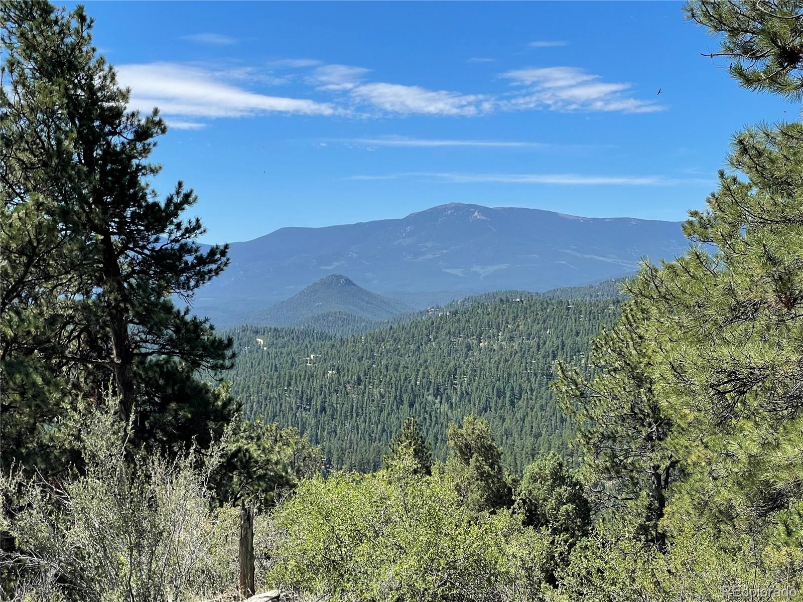 98 Wisp Lane Bailey, CO 80421 - Photo 2 of 25 a view of a lush green mountain in the background