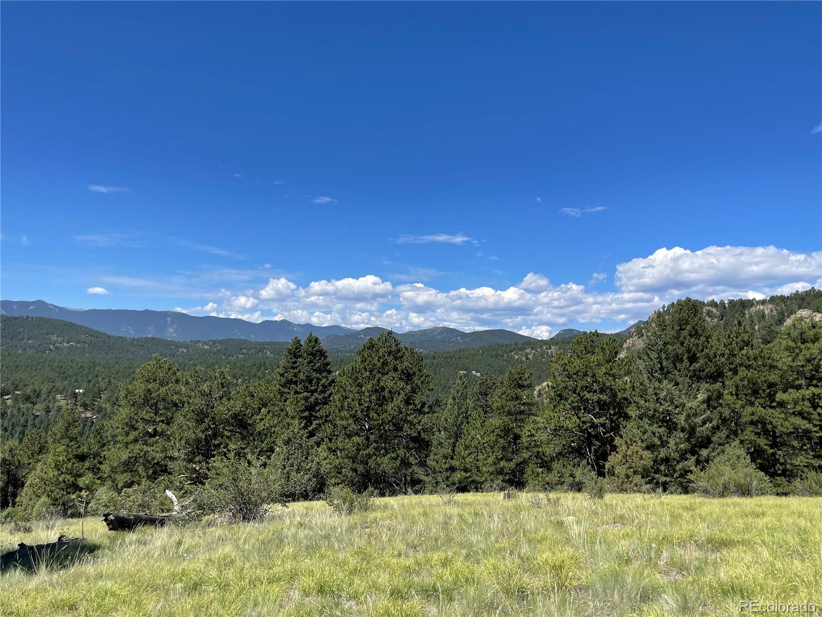 98 Wisp Lane Bailey, CO 80421 - Photo 22 of 25 a view of a city