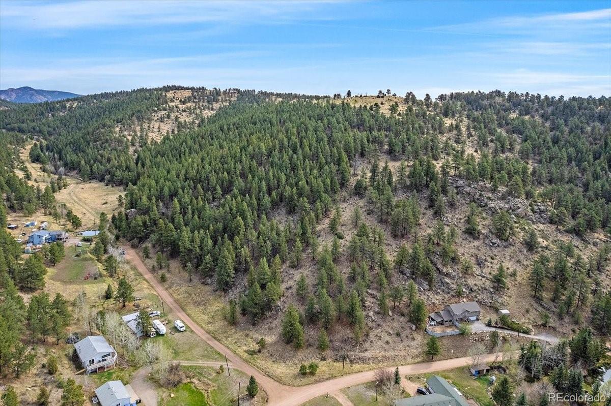 98 Wisp Lane Bailey, CO 80421 - Photo 24 of 25 a view of a city