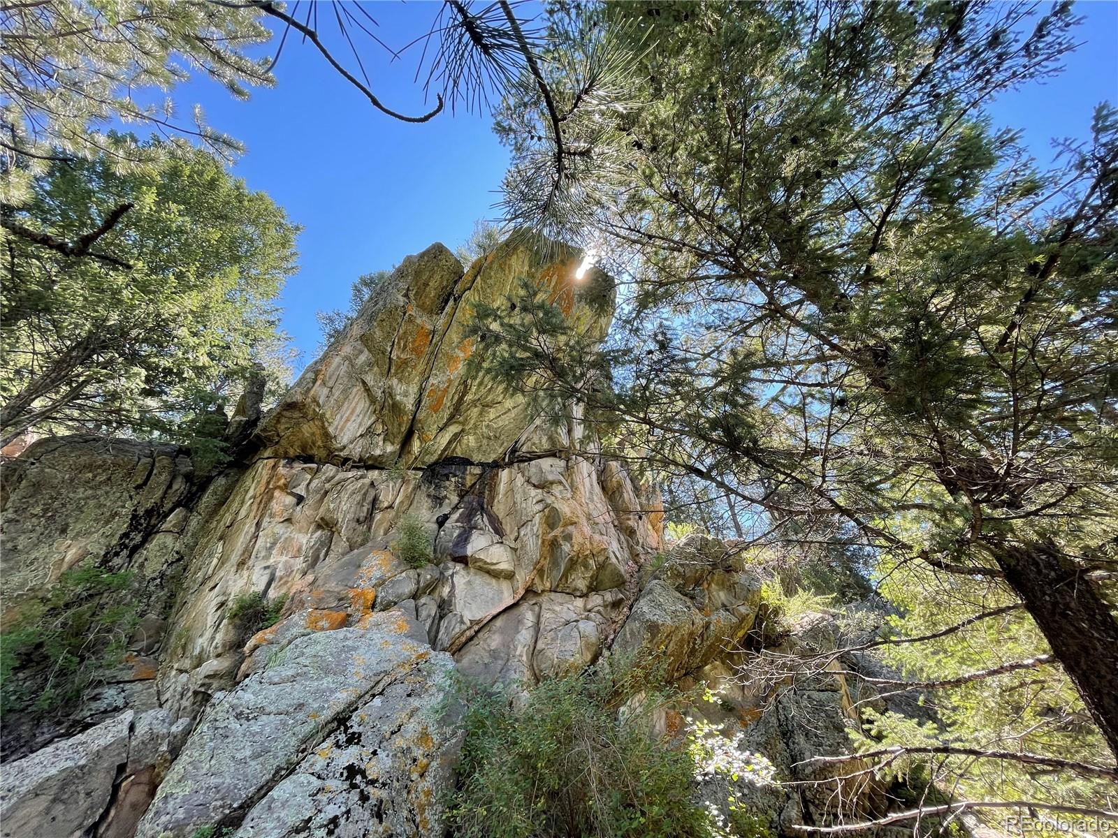 98 Wisp Lane Bailey, CO 80421 - Photo 5 of 25 a view of a tree