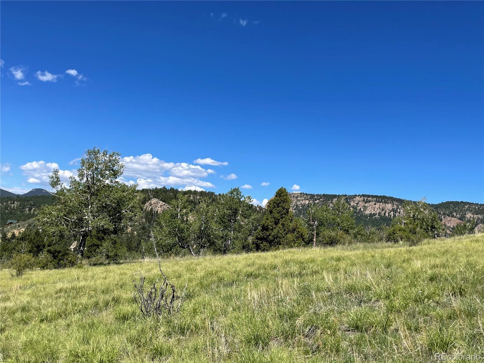 98 Wisp Lane Bailey, CO 80421 - Photo 8 of 25 a view of an outdoor space with a lake view