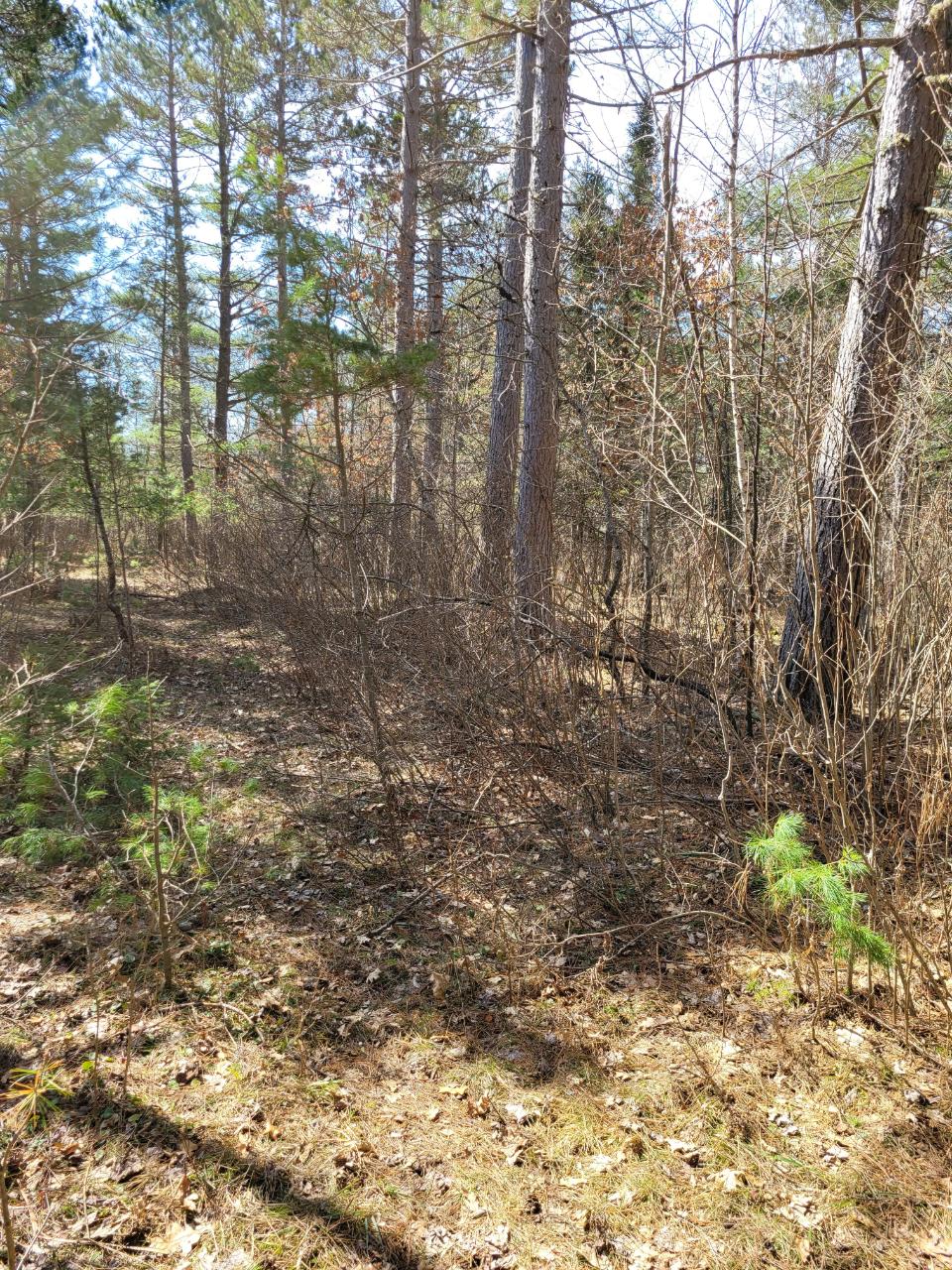 From Denton Road, Unit ACROSS Conover, WI 54519 - Photo 9 of 16 Gallery Image 9