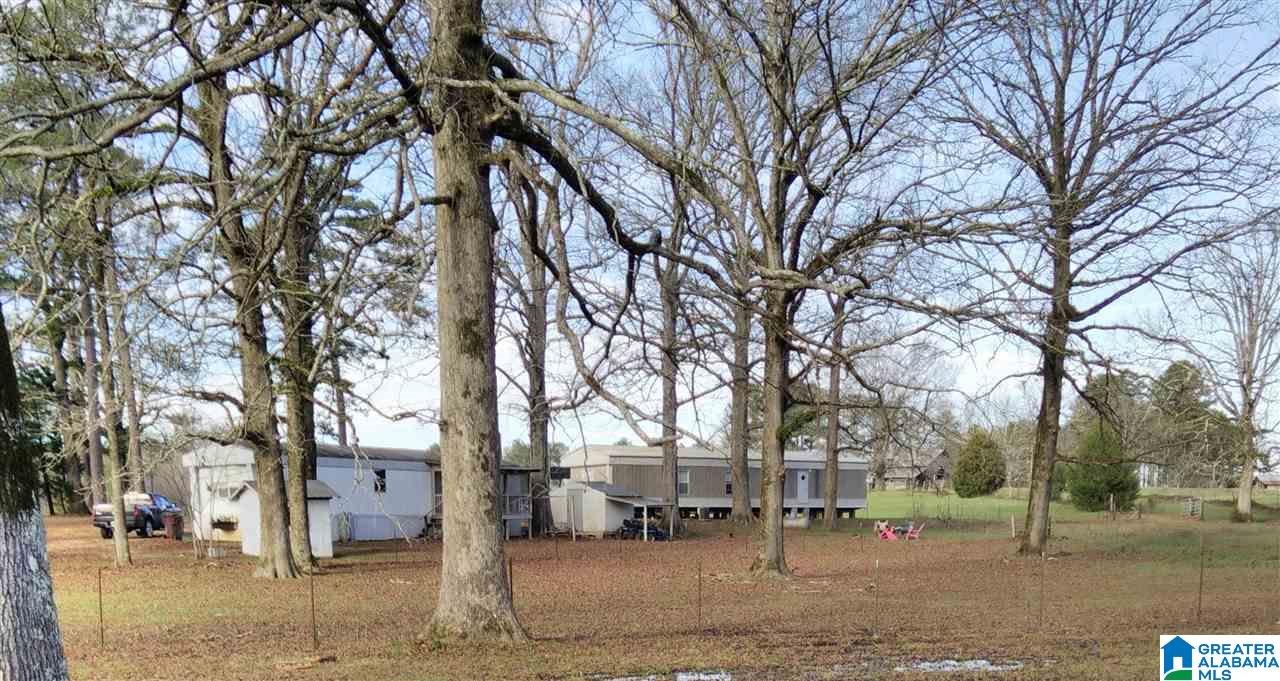 11218 Vance Blocton Road Vance, AL 35490 - Photo 36 of 37