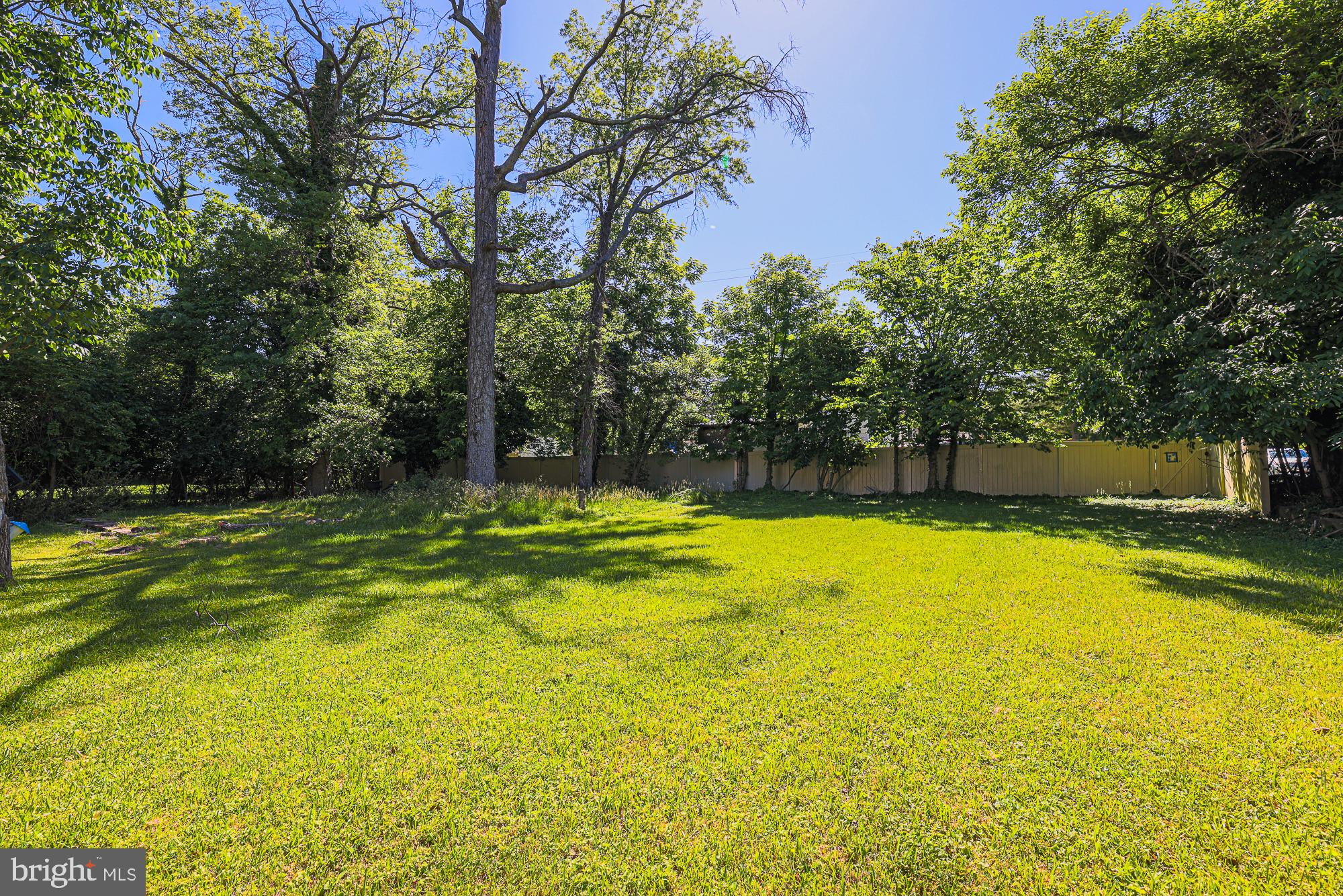 3305 Bancroft Road Baltimore, MD 21215 - Photo 15 of 61 Lush green oasis under clear skies.