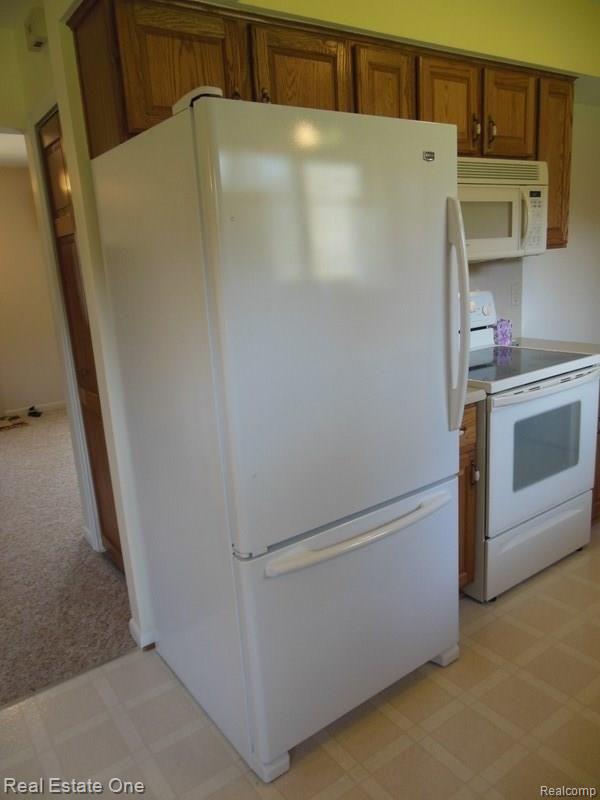 3009 East Schafer Road Howell, MI 48843 - Photo 26 of 57 DSCN0832.jpg