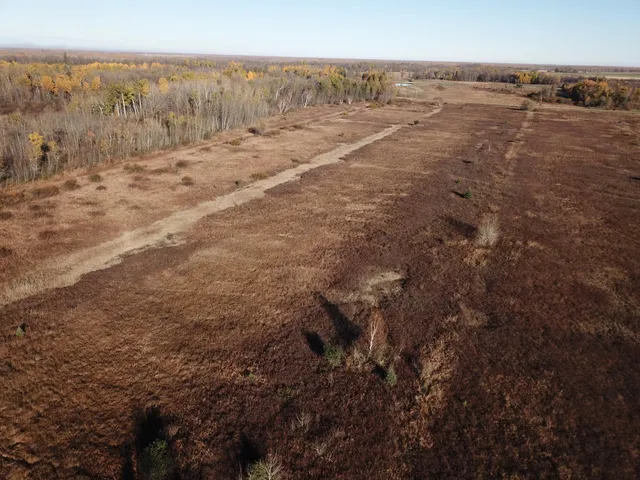 $78,400 | Tbd Tbd 380th Street, Newfolden, MN 56738