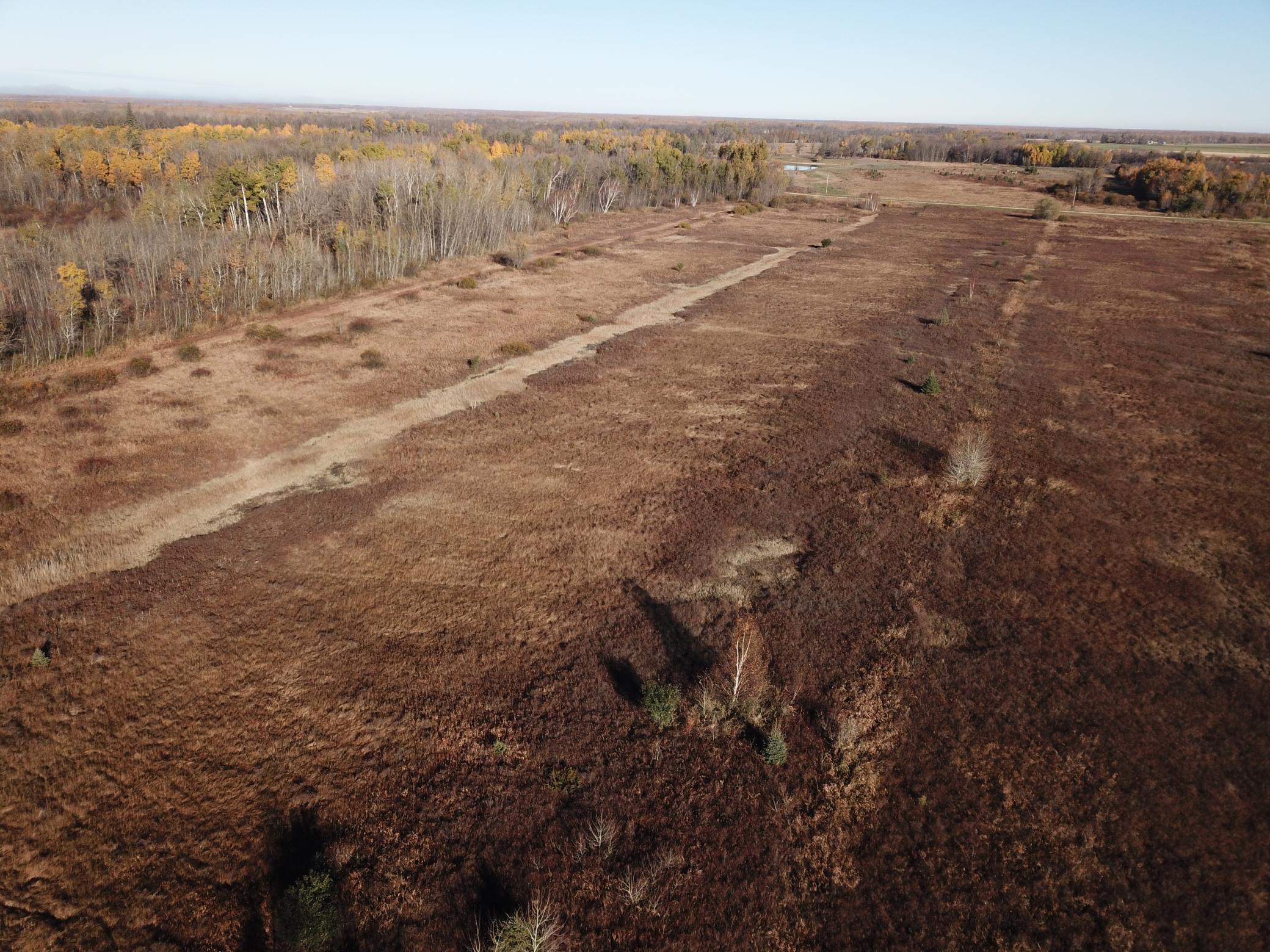 Tbd Tbd 380th Street Newfolden, MN 56738 - Photo 11 of 54