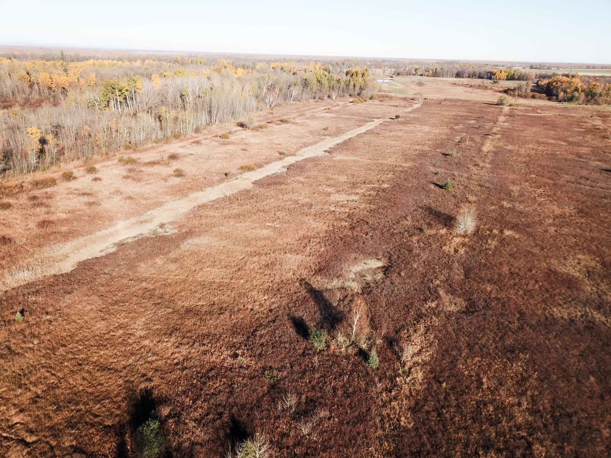 Tbd 380th Street Northwest Newfolden, MN 56738 - Photo 11 of 54