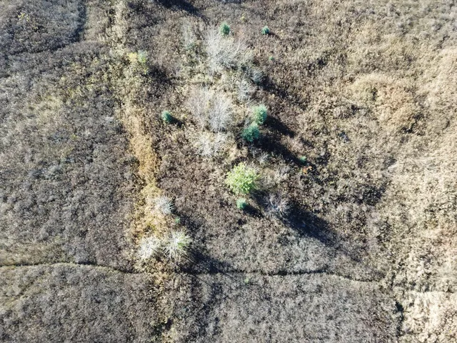 $78,400 | Tbd Tbd 380th Street, Newfolden, MN 56738