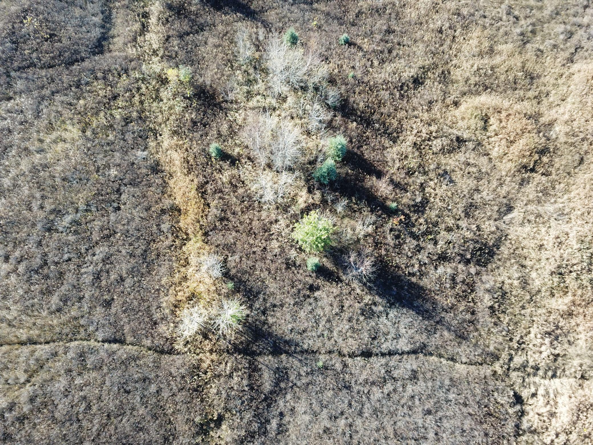 Tbd Tbd 380th Street Newfolden, MN 56738 - Photo 13 of 54