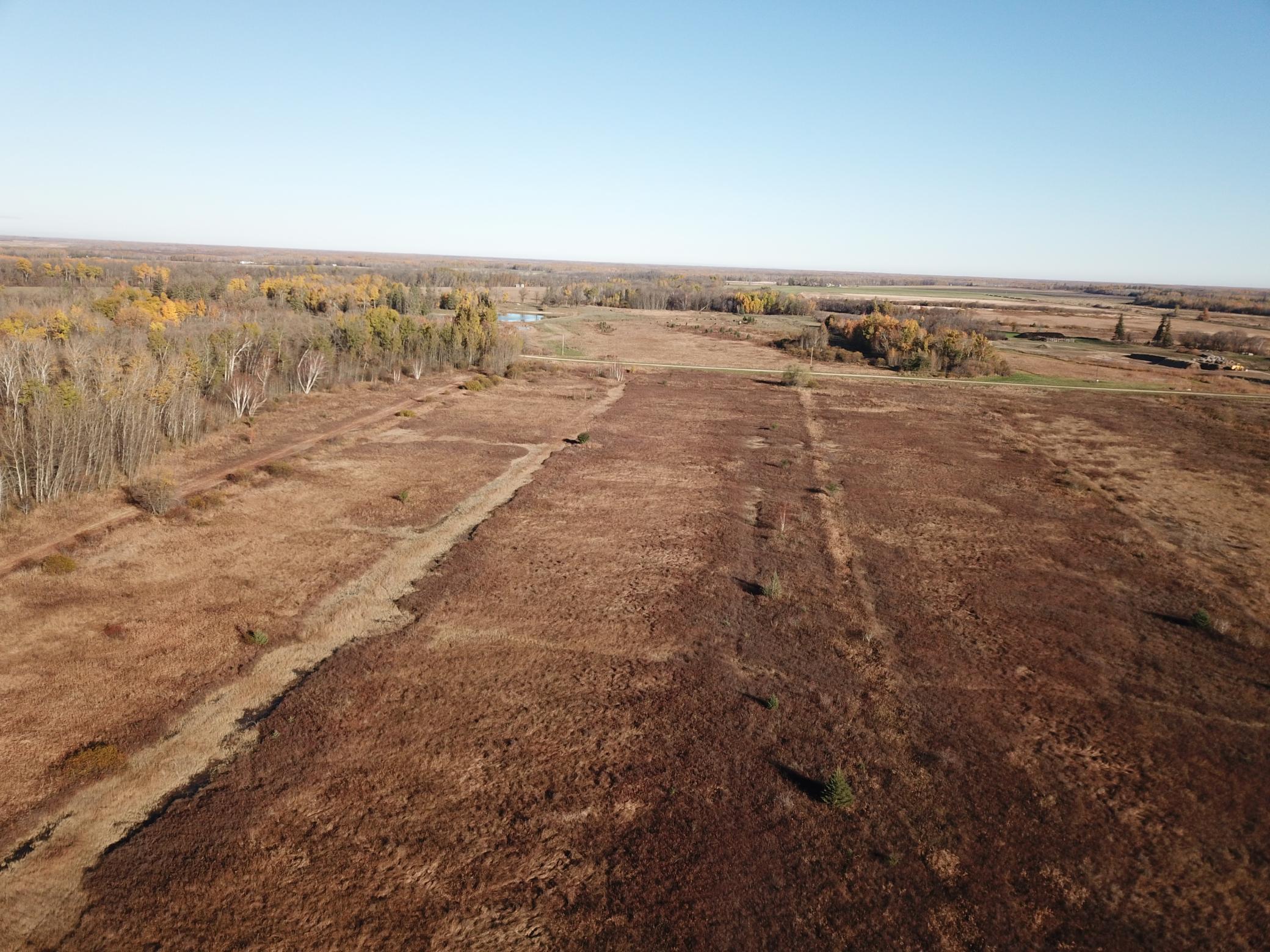 Tbd Tbd 380th Street Newfolden, MN 56738 - Photo 17 of 54