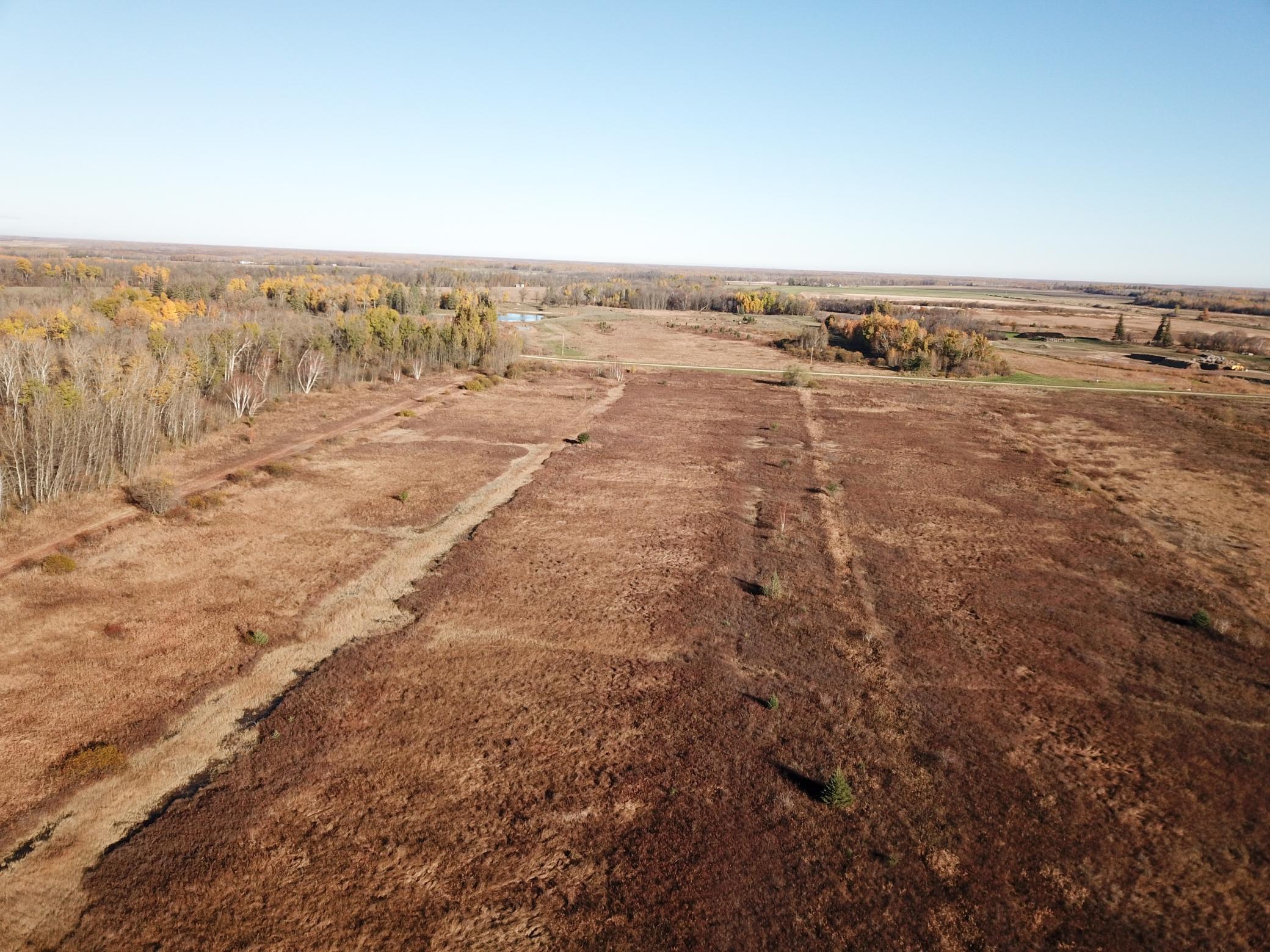 Tbd 380th Street Northwest Newfolden, MN 56738 - Photo 17 of 54