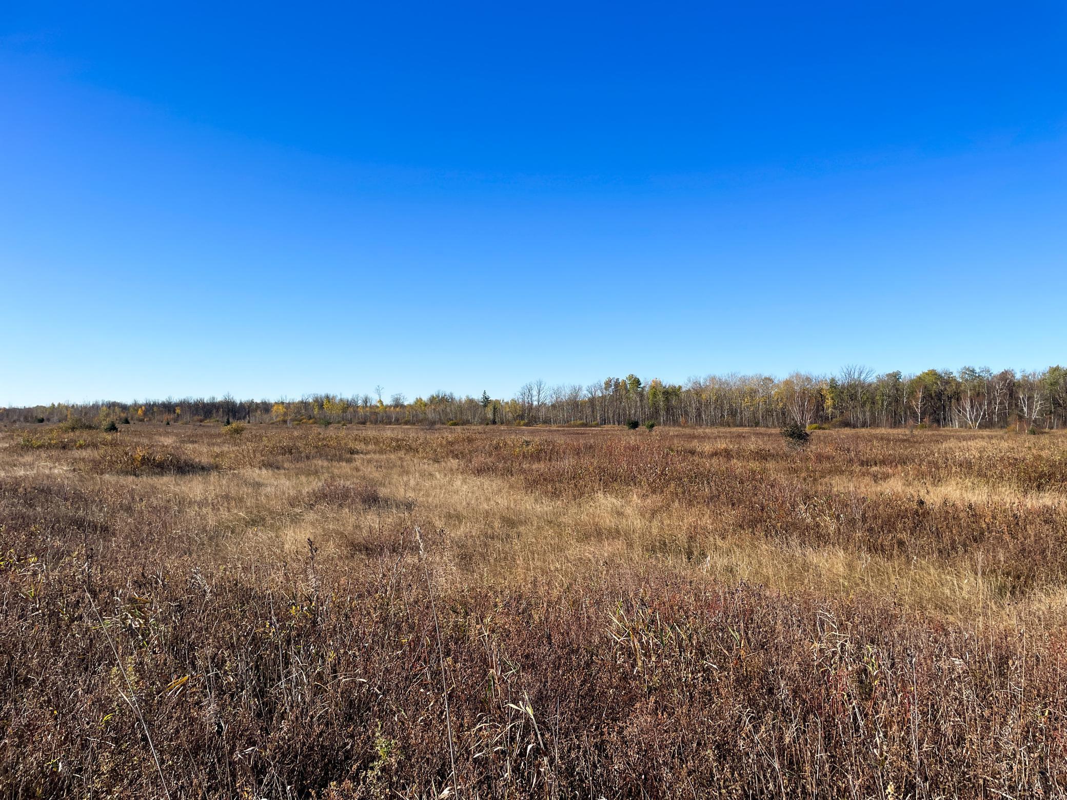 Tbd 380th Street Northwest Newfolden, MN 56738 - Photo 24 of 54