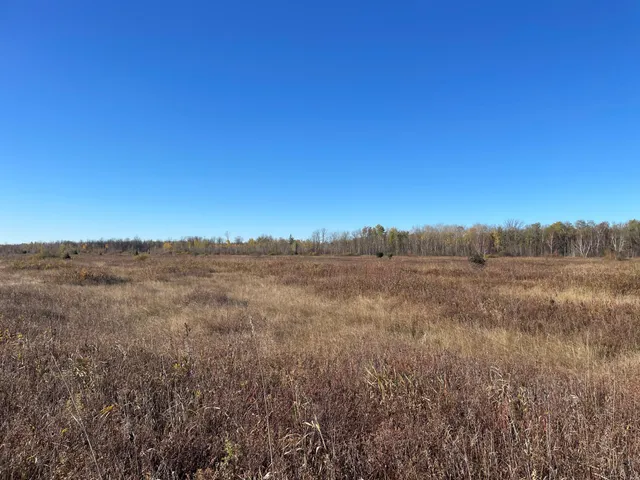 $78,400 | Tbd Tbd 380th Street, Newfolden, MN 56738