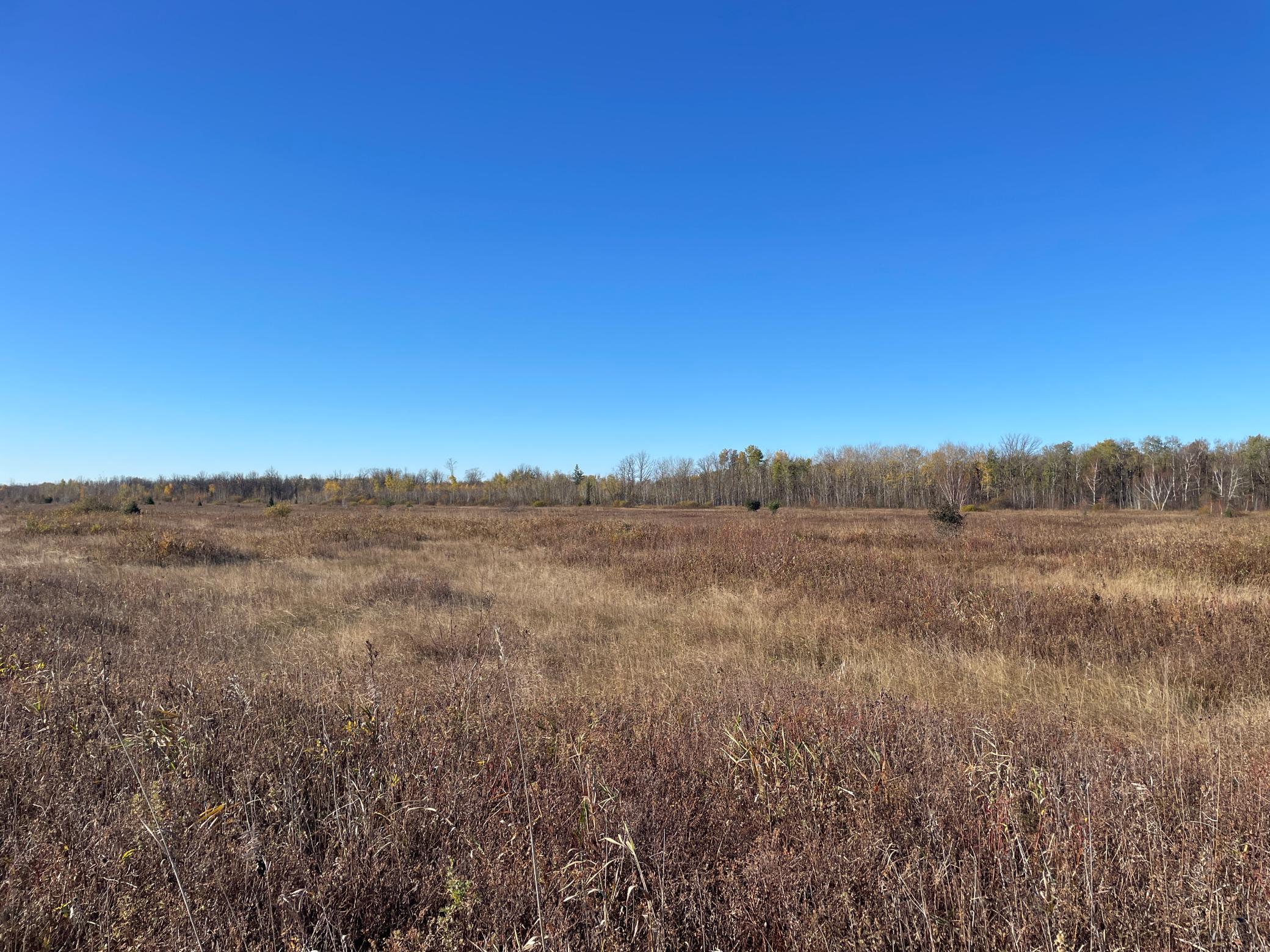 Tbd Tbd 380th Street Newfolden, MN 56738 - Photo 24 of 54