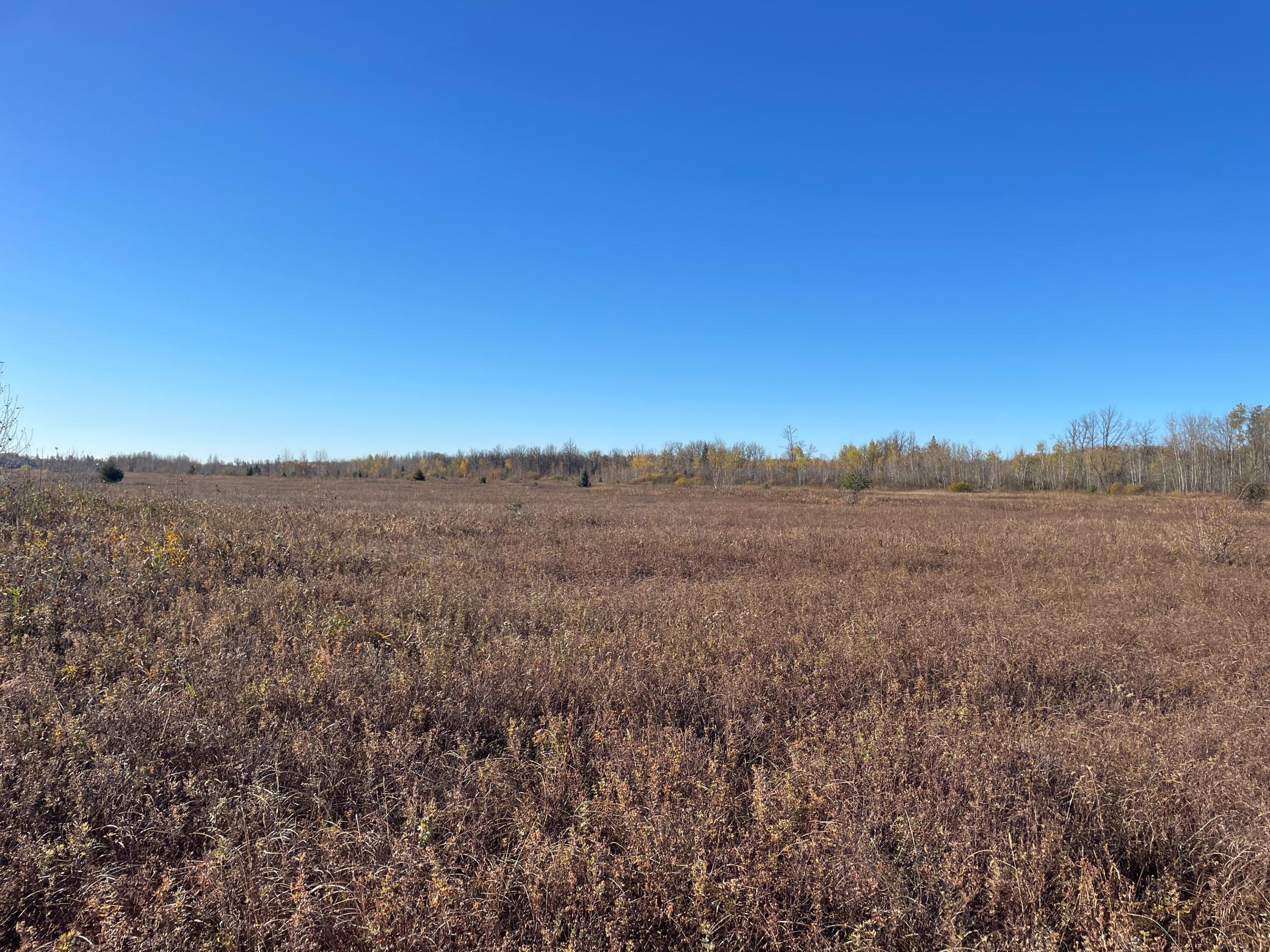 Tbd Tbd 380th Street Newfolden, MN 56738 - Photo 25 of 54