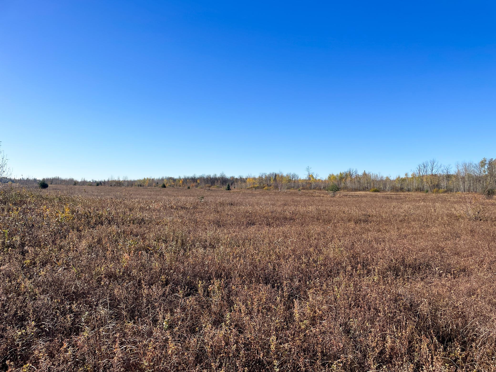 Tbd 380th Street Northwest Newfolden, MN 56738 - Photo 25 of 54