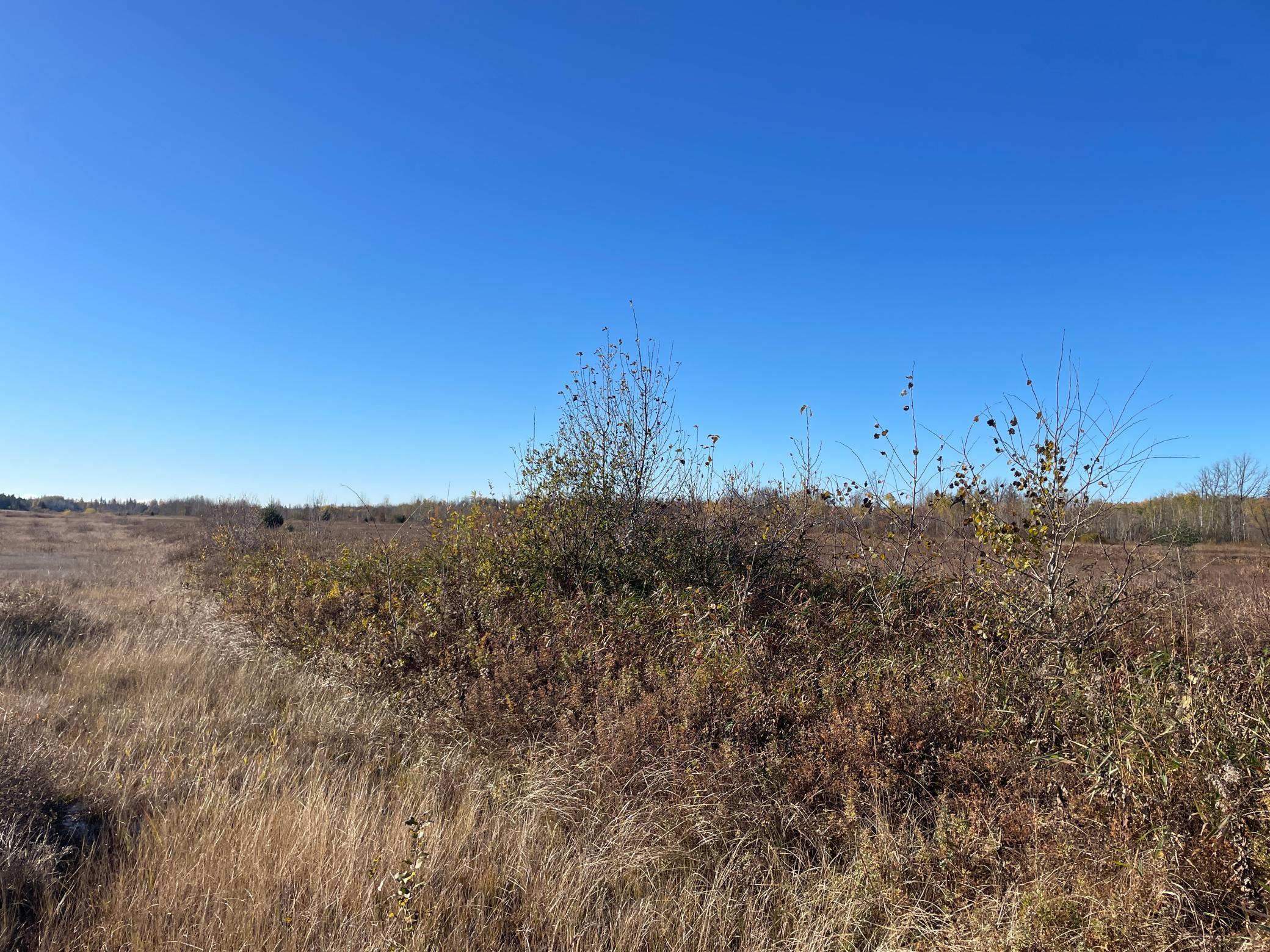 Tbd Tbd 380th Street Newfolden, MN 56738 - Photo 26 of 54