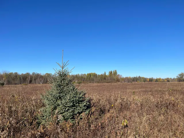 $78,400 | Tbd Tbd 380th Street, Newfolden, MN 56738
