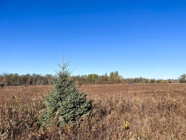 $78,400 | Tbd 380th Street Northwest, Newfolden, MN 56738