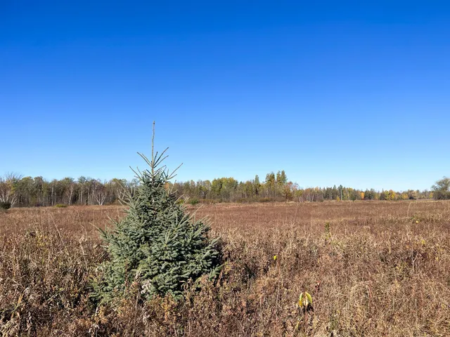 $78,400 | Tbd 380th Street Northwest, Newfolden, MN 56738