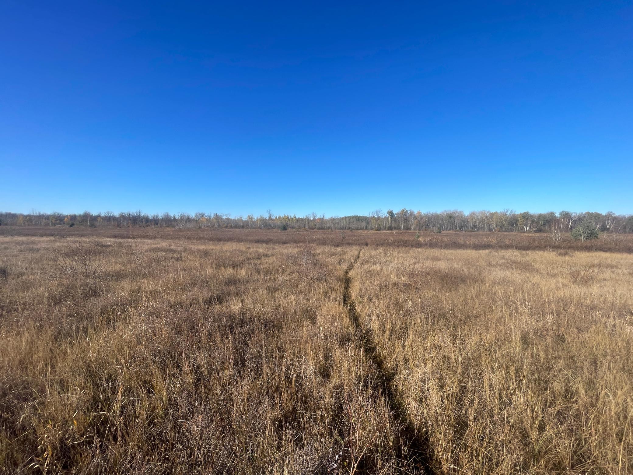Tbd Tbd 380th Street Newfolden, MN 56738 - Photo 28 of 54