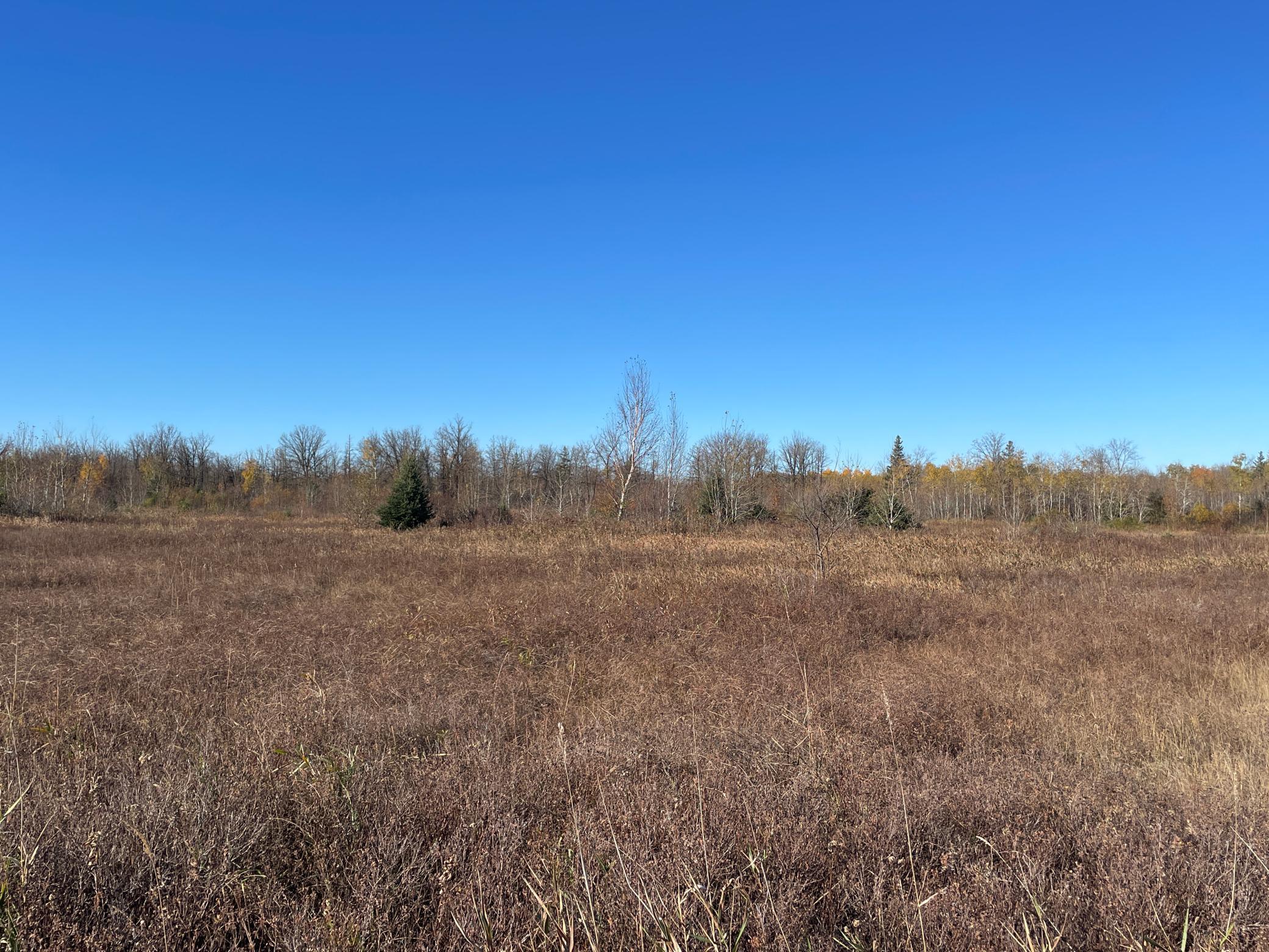 Tbd Tbd 380th Street Newfolden, MN 56738 - Photo 29 of 54