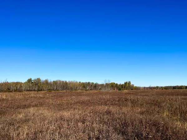 $78,400 | Tbd 380th Street Northwest, Newfolden, MN 56738