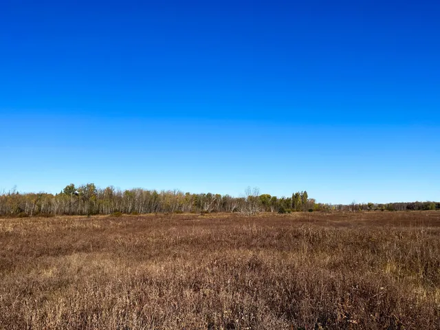 $78,400 | Tbd 380th Street Northwest, Newfolden, MN 56738