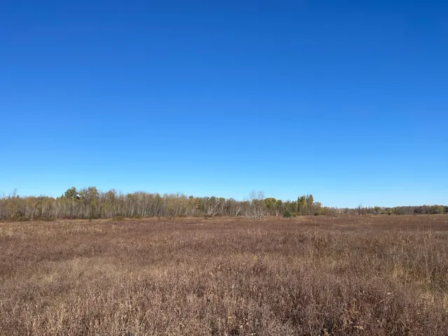 $78,400 | Tbd Tbd 380th Street, Newfolden, MN 56738