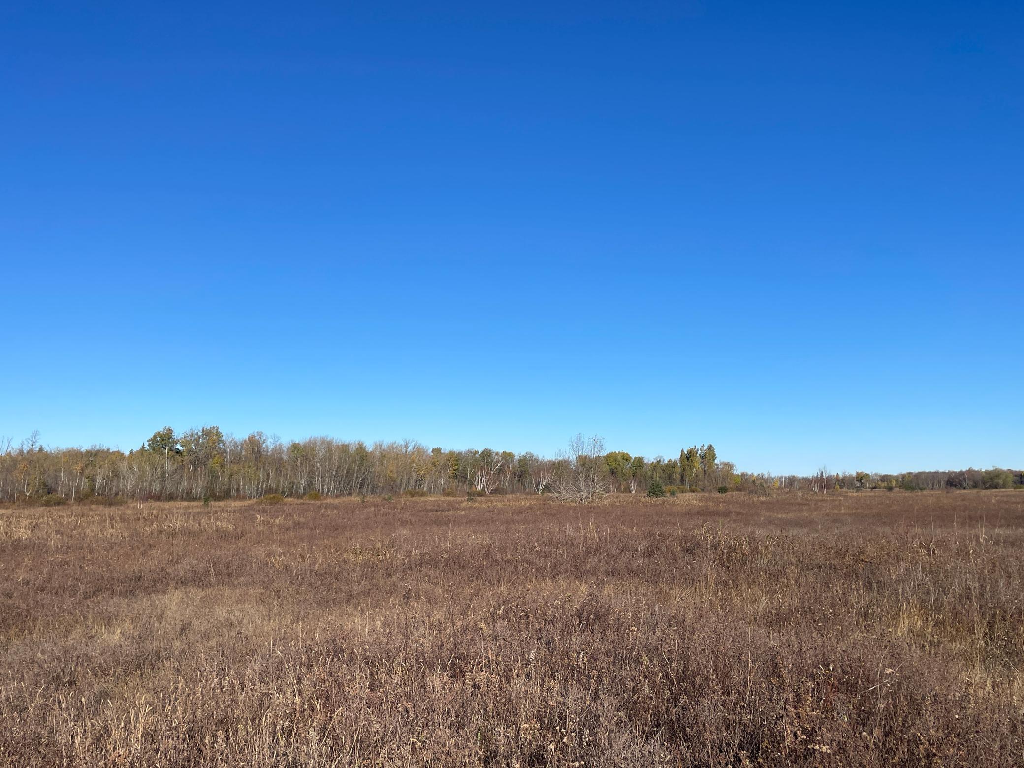 Tbd Tbd 380th Street Newfolden, MN 56738 - Photo 30 of 54
