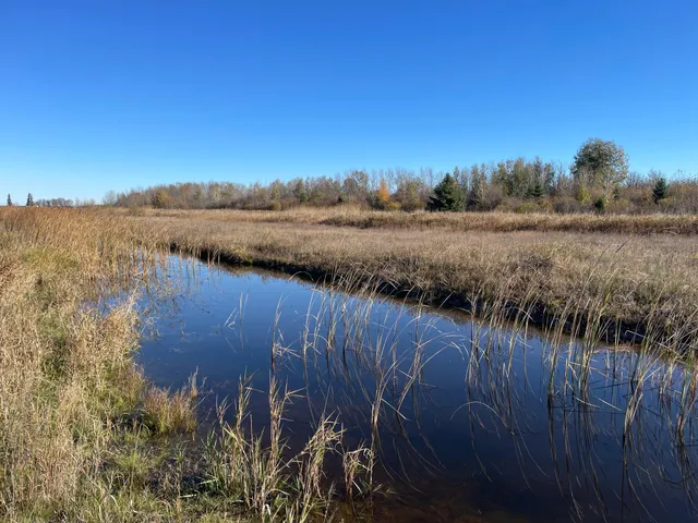 $78,400 | Tbd Tbd 380th Street, Newfolden, MN 56738