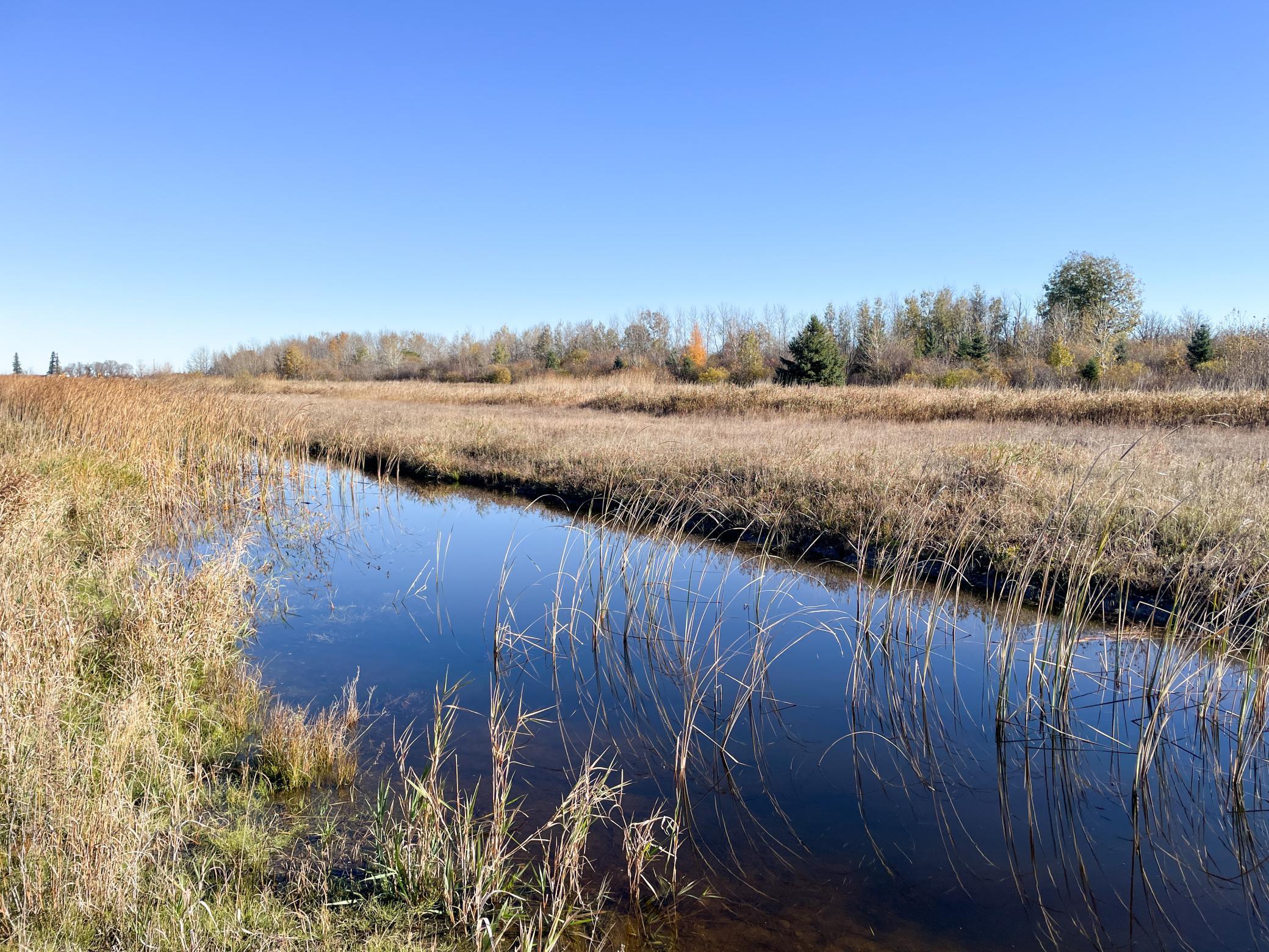 Tbd 380th Street Northwest Newfolden, MN 56738 - Photo 32 of 54