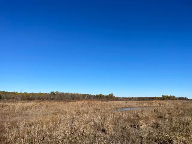 $78,400 | Tbd Tbd 380th Street, Newfolden, MN 56738